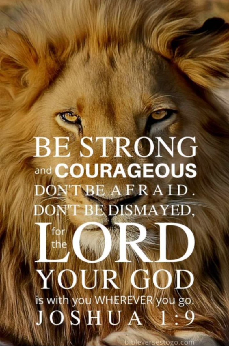 Be strong and courageous. Don't be afraid. Don't be dismayed. The Lord your God is with you wherever you go. 

Joshua 1:9