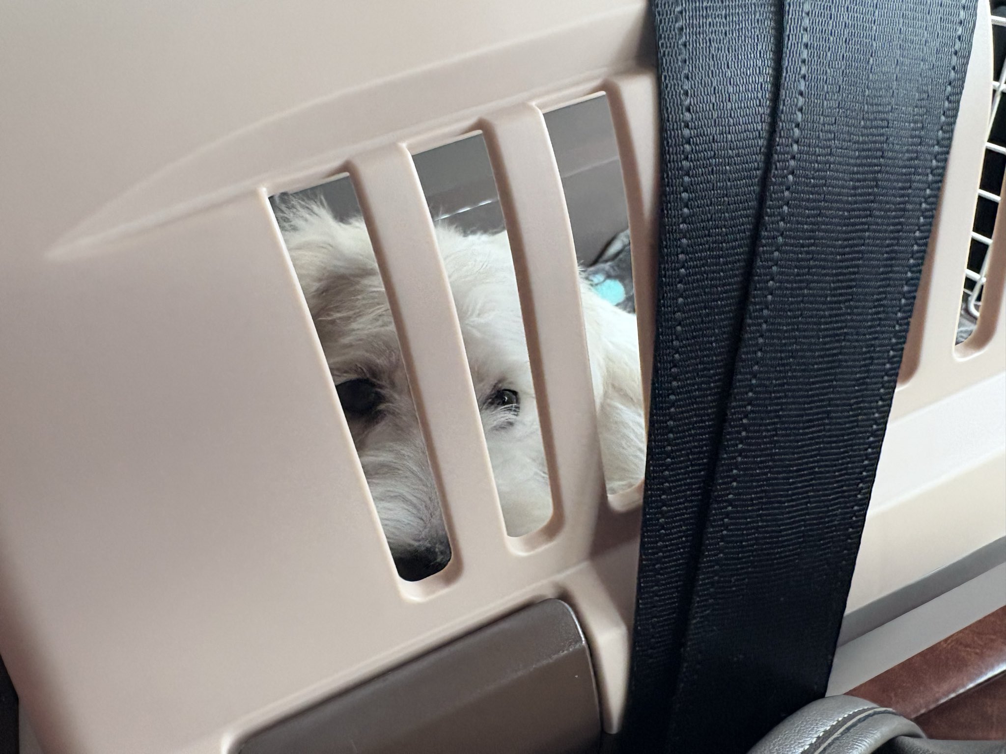 モイモイページ moimoi (@moi03_moi08) / X