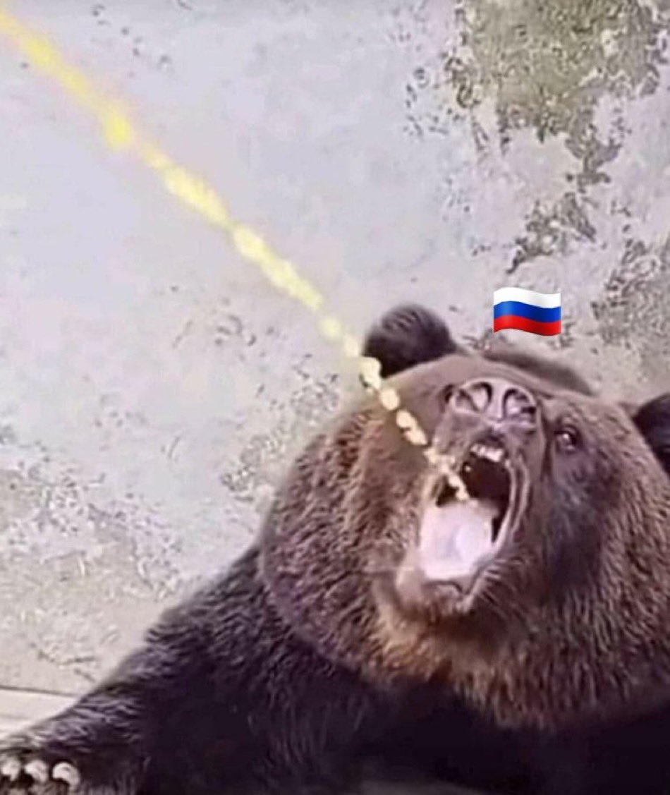 REDACTED tweet media