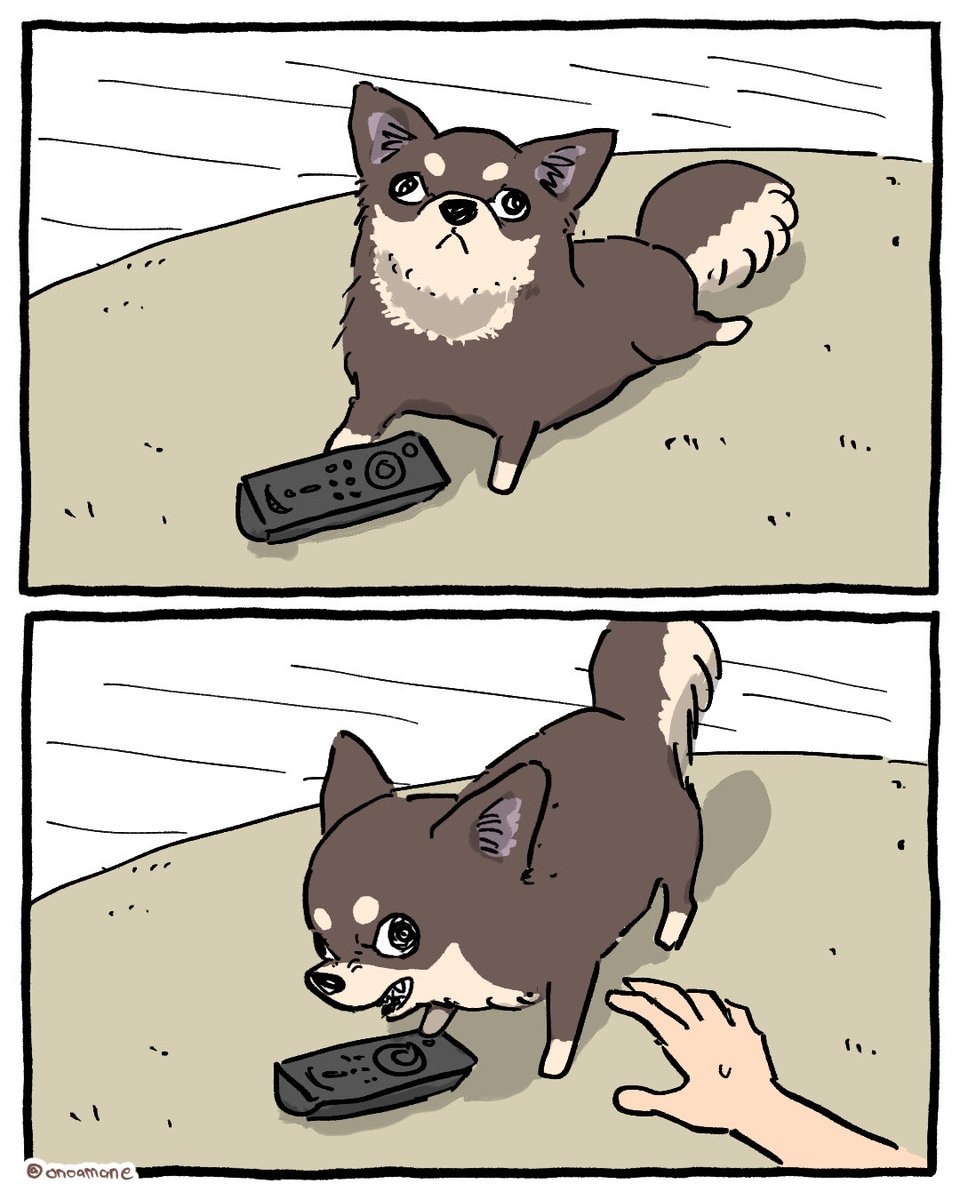 おのあまね (@onoamane) on Twitter photo 