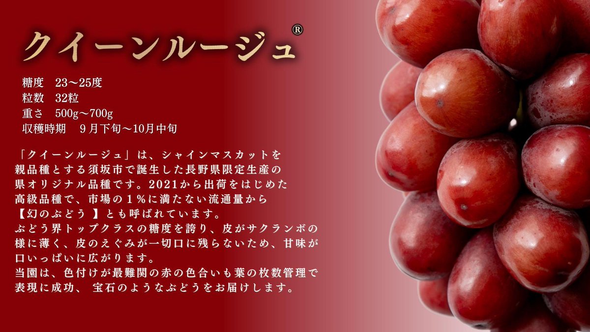 いしばし🍇長野ぶどう農家 tweet media