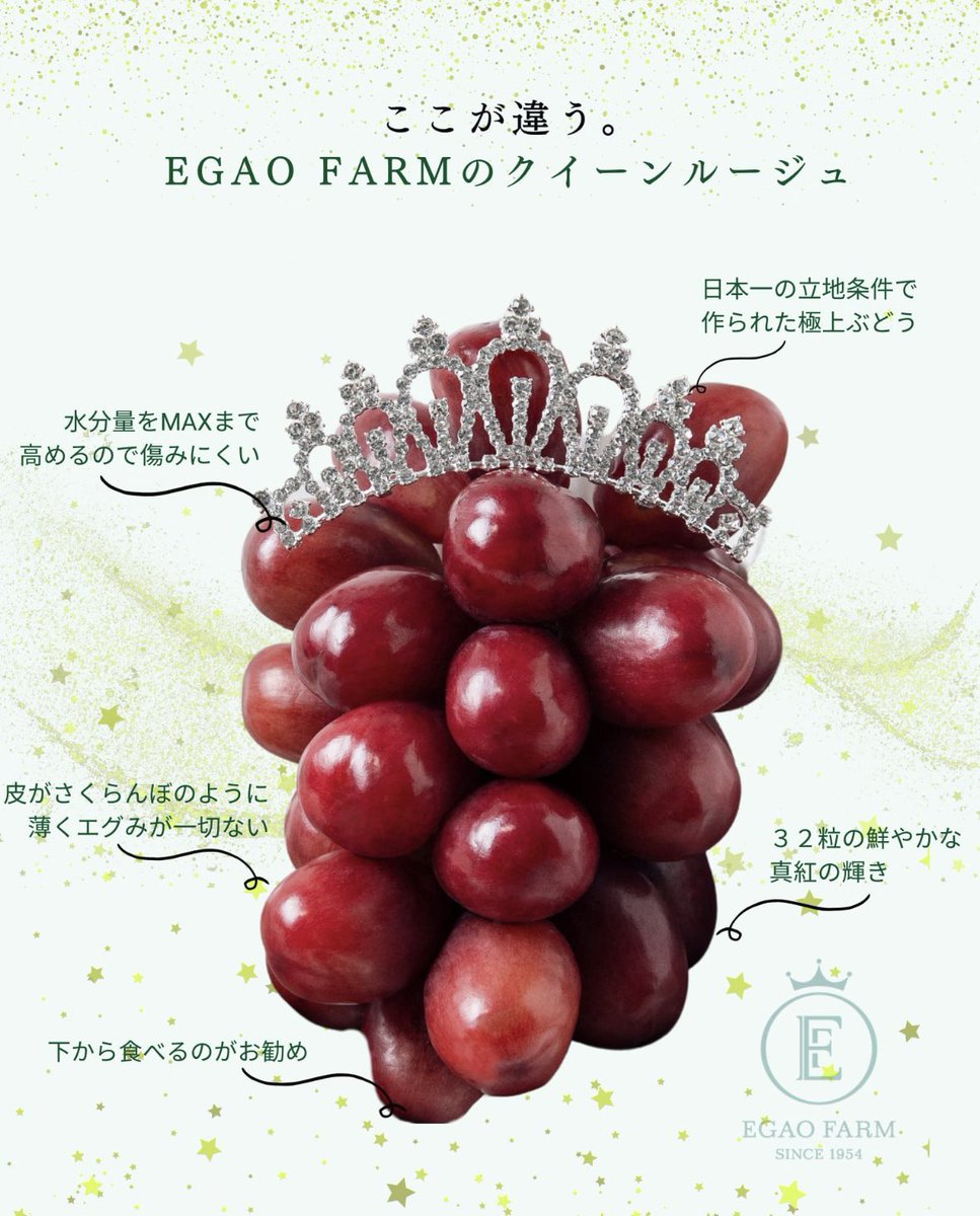 いしばし🍇長野ぶどう農家 tweet media