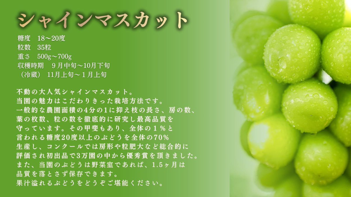 いしばし🍇長野ぶどう農家 tweet media