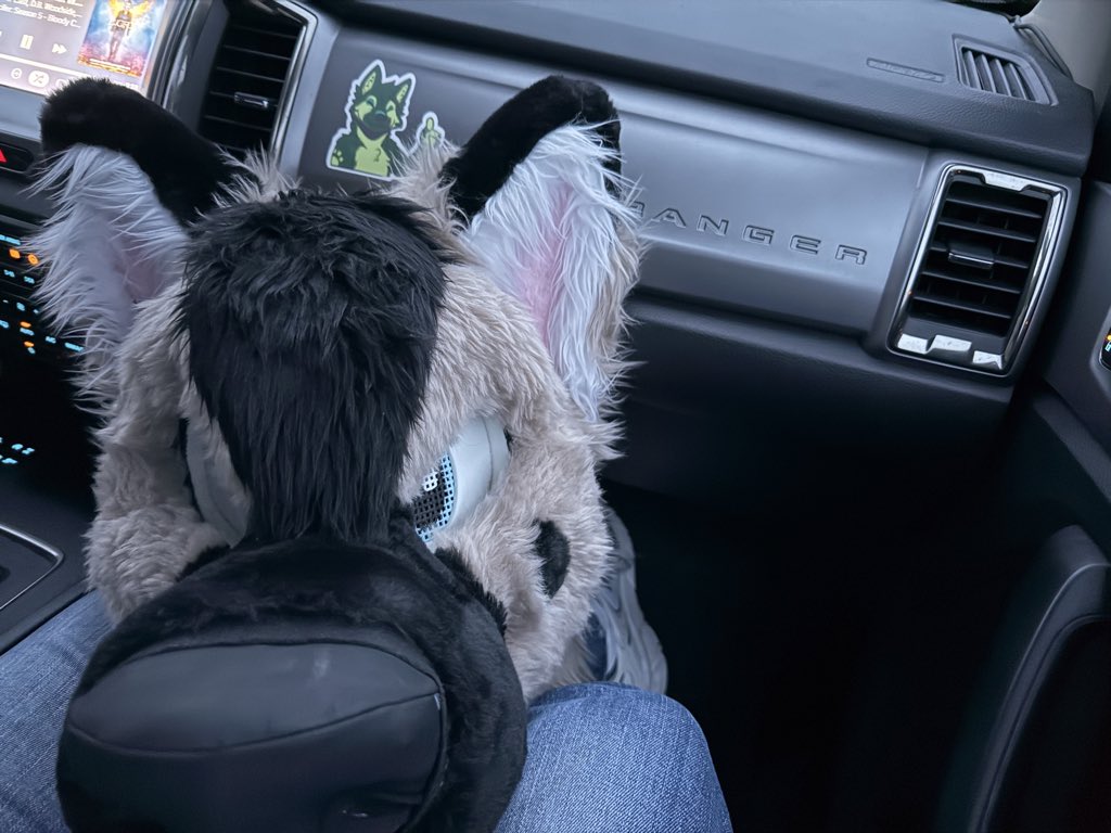 ni_shep's tweet photo. Oh look, it’s Ranger…going for a truck ride, in my Ranger!  #Furry #Fursuit #FursuitFriday #gshep #wolfshep https://t.co/fxeEs5YXAO
