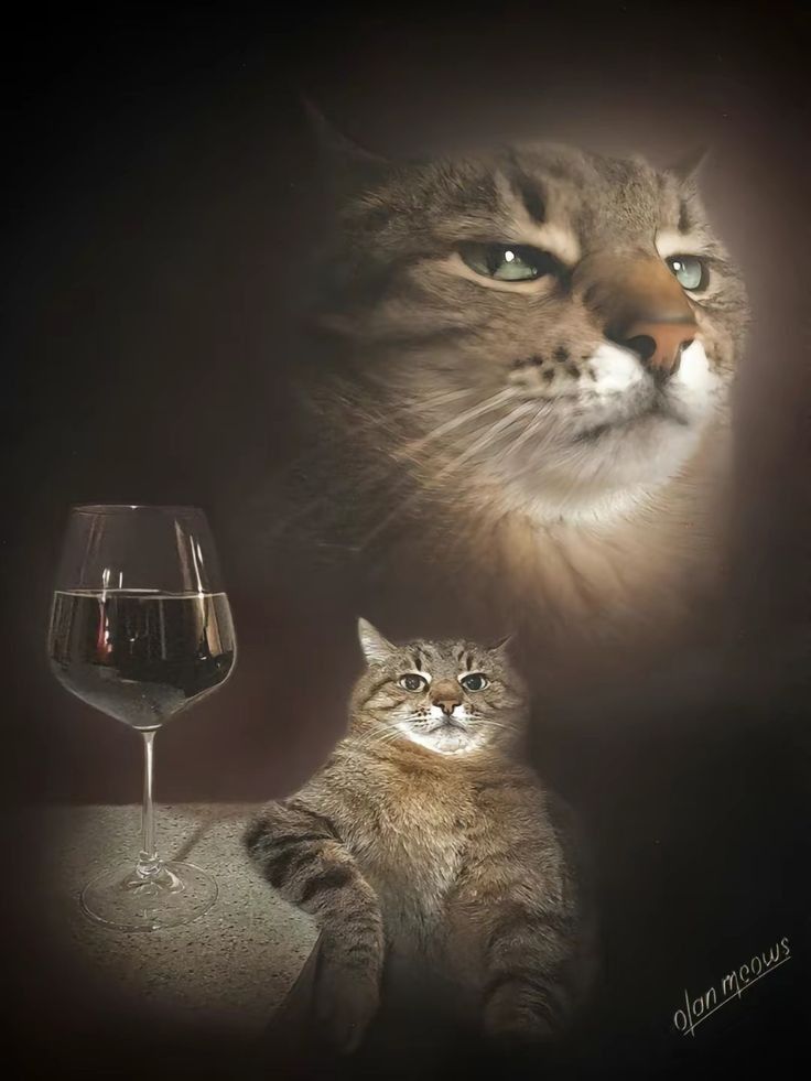 Minha vizinha ta dando. E eu aqui assim.