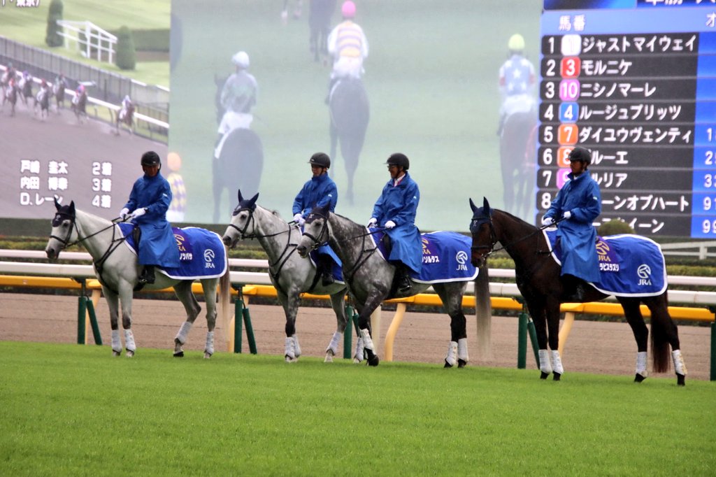 傘松と馬 Umbrella of Yokohama 晴雨兼用折りたたみ傘 馬車行列 伝統横濱