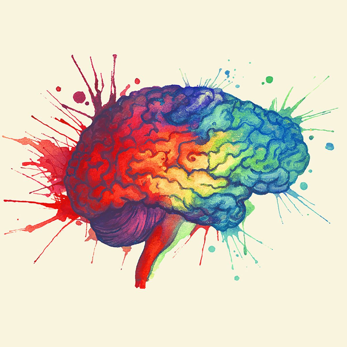 corezero's tweet image. PSA: Your brain is shrinking from doom scrolling. Your executive function is being hijacked. Watch this video. You'll be glad you did. youtube.com/watch?v=o06_4F…