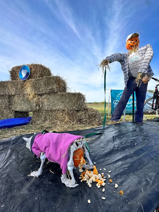 MiamiCoParks's tweet image. #FallFarmFest is underway. Be sure to cast a vote for your favorite &amp;amp; funniest scarecrow at the info booth.