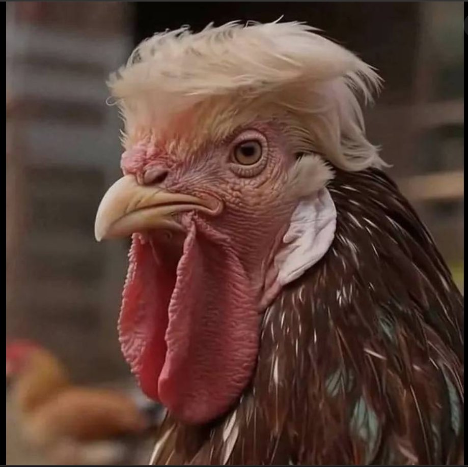 Thank you for your attention to this matter!!!😑