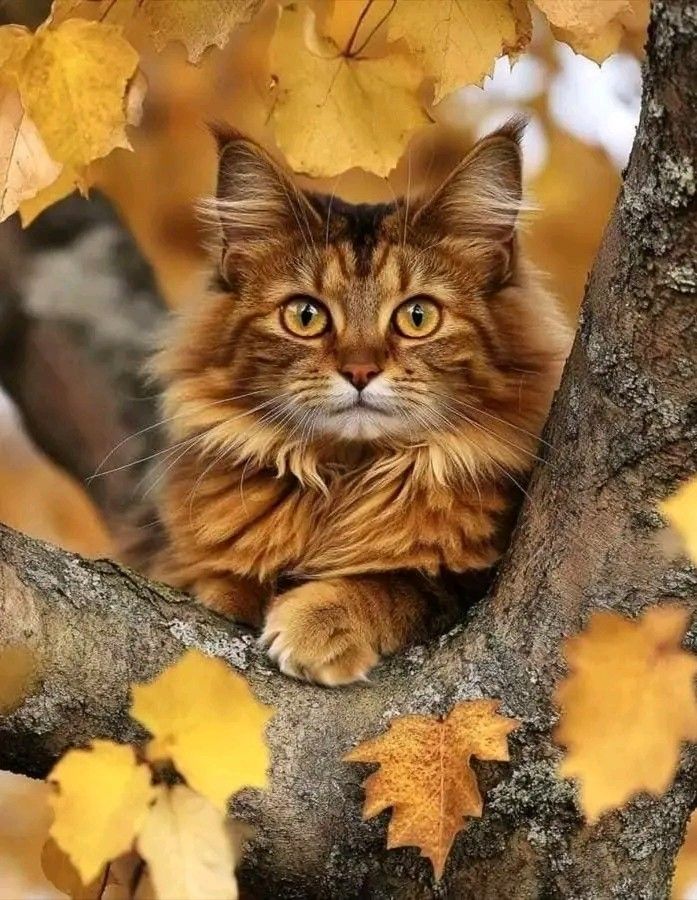 ilegalilegal1's tweet photo. #Extraterrestres👽
✾
✾@m11__hr
ღ@MrJustice38377
✾@AmeliaVicencio
✾@2015Suheyla
✾@america4455
✾@maralinda67
✾@papiko7890
✾@Y6s8D8vmnCo394k
✾@HalconaUFF
✾@CayoPiedra3
✾@TheOtherGer
✾@Danijose69
✾@jemaco40
✾@silnreginaa
✾@EA_LM1978
ღ@MariFa05
✾ @aro_rojas
✾@B_Brusau https://t.co/HMT0gw0SD0