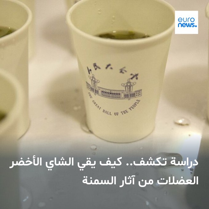 دراسة جديدة تكشف أن الشاي الأخضر يقوي العضلات ويساهم في تنظيم مستويات السكر في الدم، حتى مع النظام الغذائي عالي الدهون 