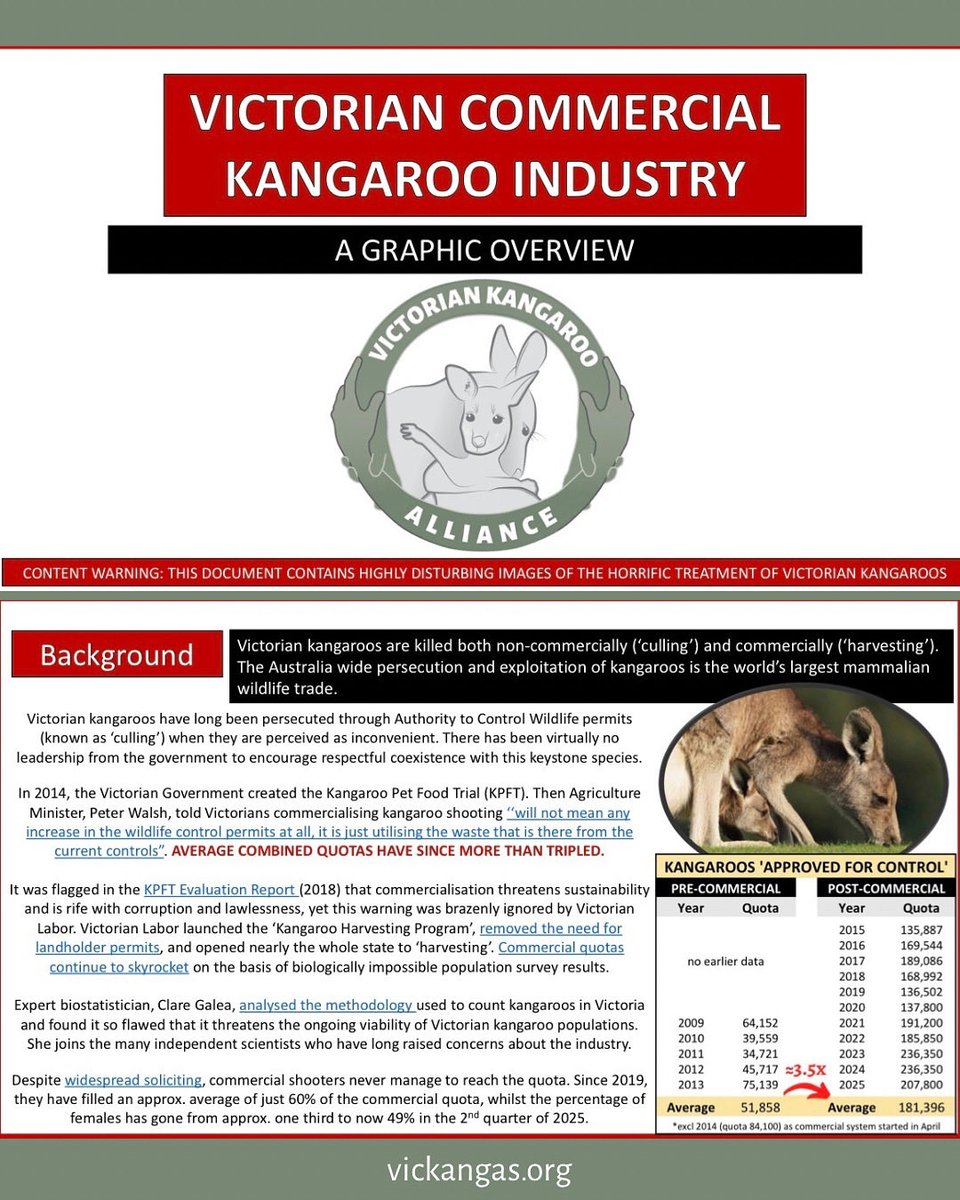 We’ve looked at the horrifying pics so you don’t have to! Please download this report and send it to your representatives 🙏🏽

shorturl.at/kxRuQ

#kangaroo #stopkillingkangaroos #endwildlifetrade #kangaroomeat #kroo #kleather #wildlife