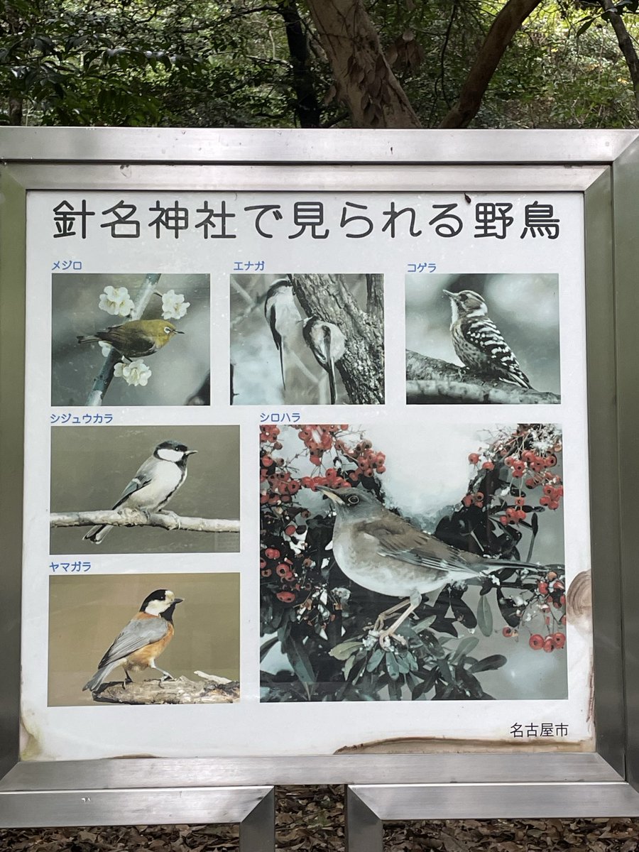 caplicofx's tweet image. #神社 #針名神社  #名古屋市
針名神社落ち着く。
呼んでくれてる気がして立ち寄ってみた。
緑に囲まれた参道も雰囲気あっていい！
またお参りしに来ます┏○ﾍﾟｺｯ
