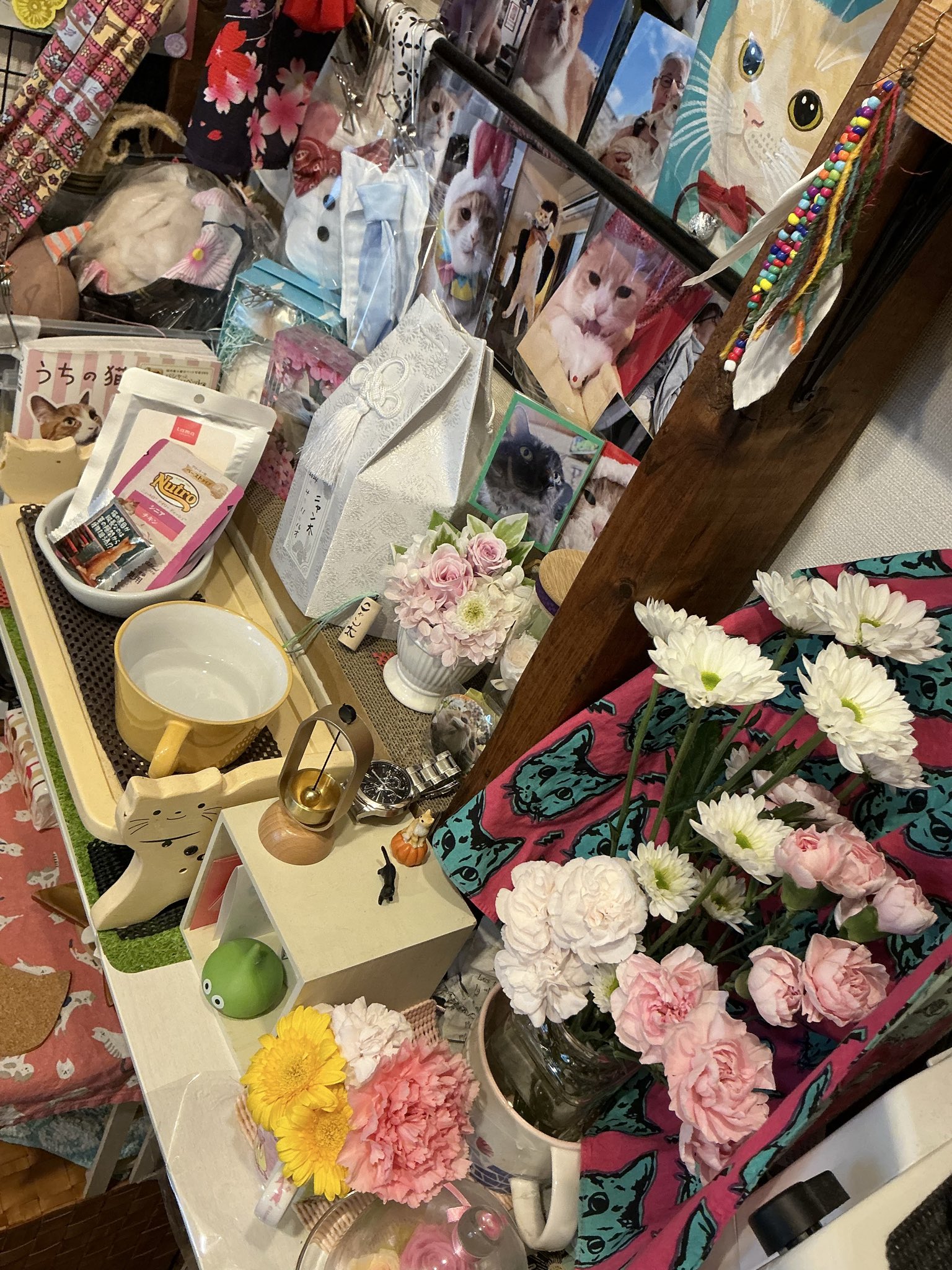 ニャン太 ニャン太桜子🐱 (@nyantacchi) / X