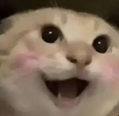 WuYi | AI · Blockchain · Prediction tweet media