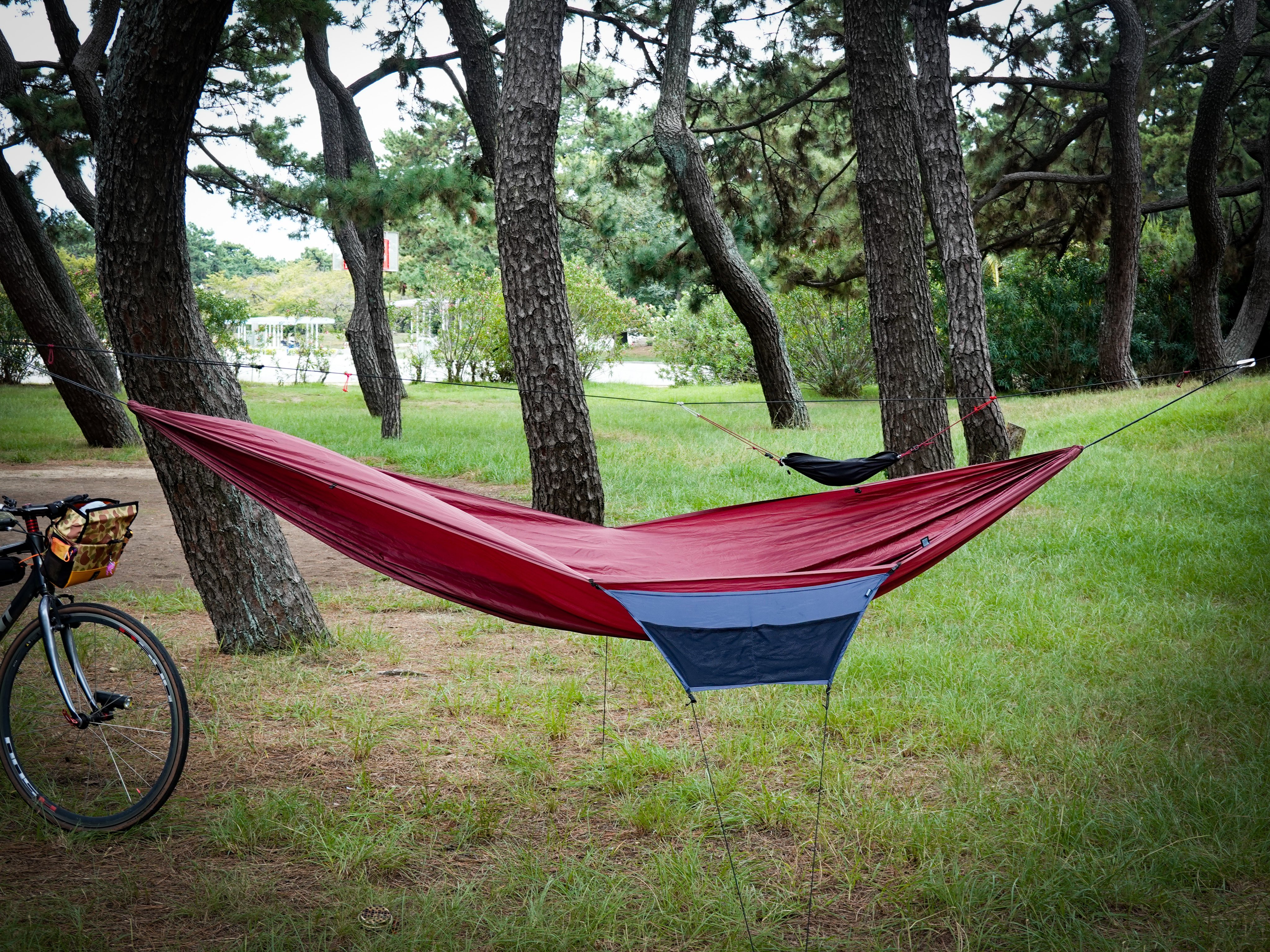 リッジライン　ハミングバード Ridgeline official (@ridgeline_tw) / X