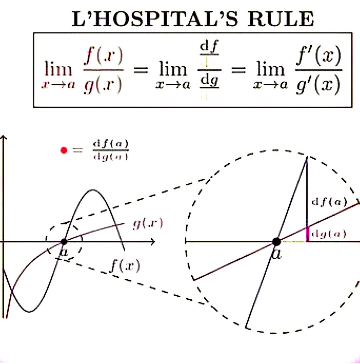 The L'Hospital's Rule

#sharingisthenewlearning