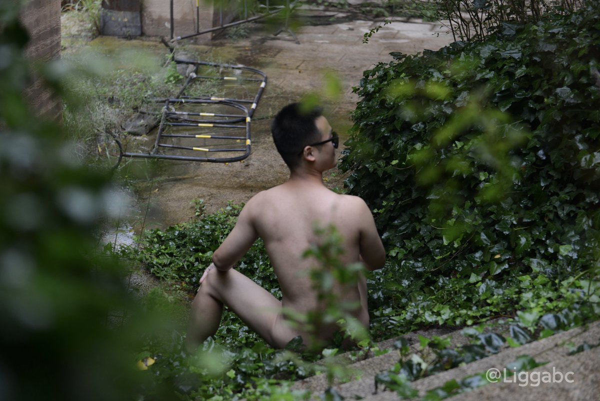 乐一力 tweet media