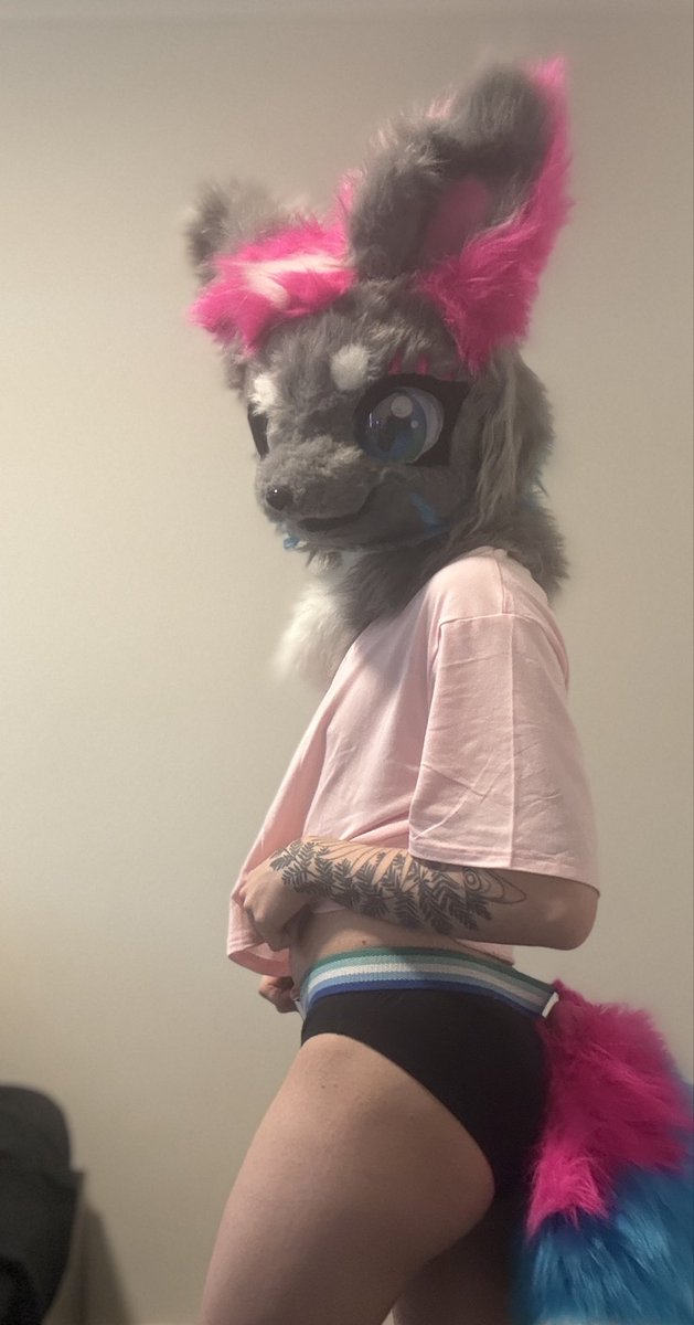 SnoweyFoxy's tweet photo. yummy :3

#fursuiter #fursuit #femboy #furry https://t.co/xcbegGRMSy