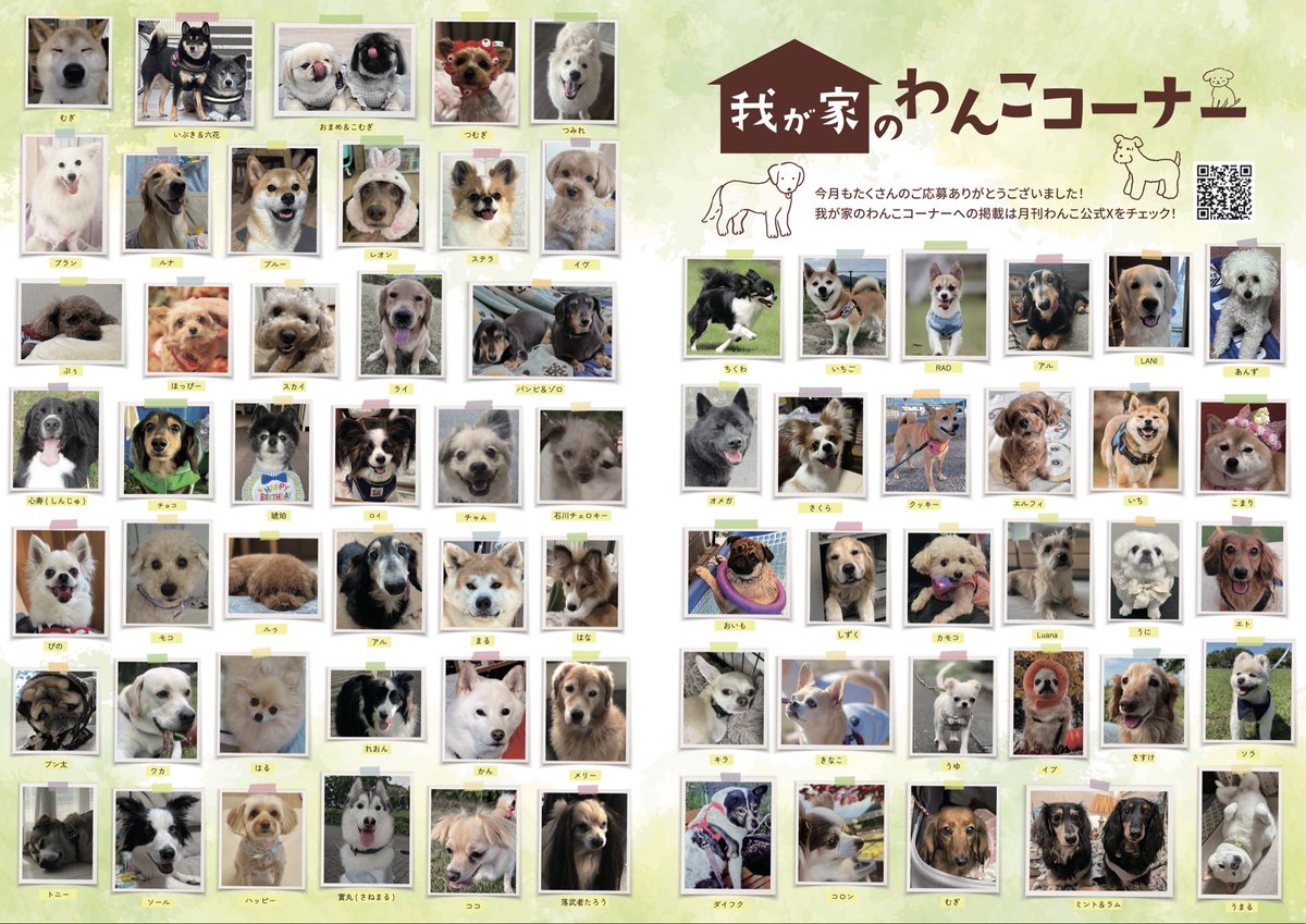 gekkan_wanko's tweet image. 【当選者発表⑤】
こちらの写真は月刊わんこvol.23（10/15発売）我が家のわんこコーナーに掲載されています👏🐶㊗️掲載されていたら是非リポストをお願いします✨

〈Amazon〉
通常版→amazon.co.jp/dp/B0FRS6ZXP1
特別版→amazon.co.jp/dp/B0FRR4GLDC
※通常版と特別版（Special…