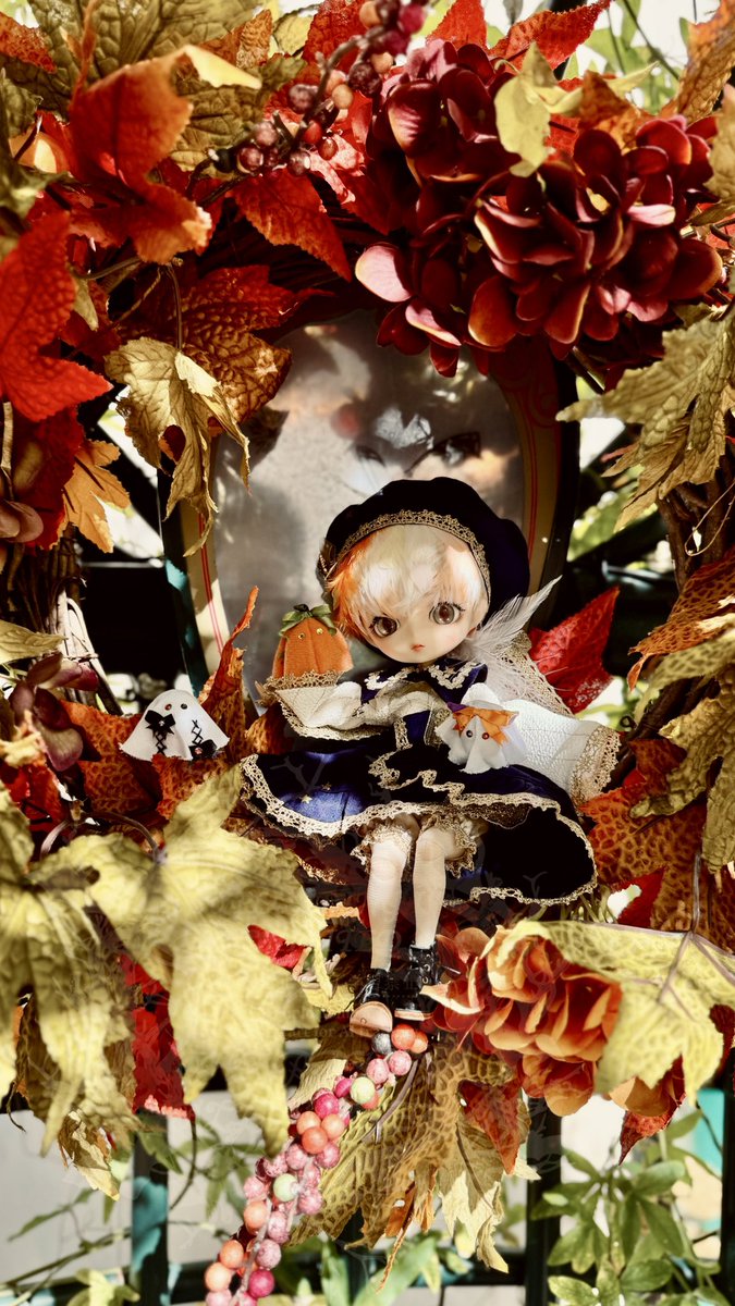 crown_moon's tweet image. 🎃𝙷𝚊ppy 𝙷𝚊𝚕𝚕𝚘𝚠𝚎𝚎𝚗🦇
　　♆ハ(*`꒳´* )ﾉi＼
　　 ⌒’　〃￣〃  ⌒&apos;⌒
 🍭𝚝𝚛𝚒𝚌𝚔 𝚘𝚛 𝚝𝚛𝚎𝚊𝚝👻

#Harmoniabloom
#ハルモニアブルーム

#arripla
#カラス屋wig
#あずきのしっぽ