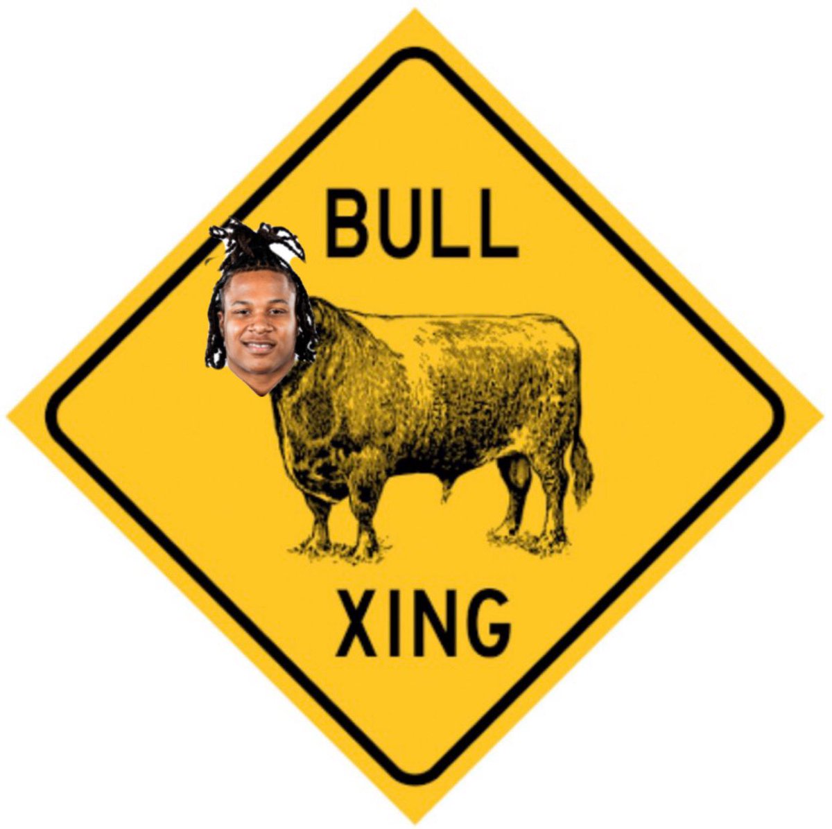 TurtleSportsNet's tweet image. The Return of the Bull @SidneyStewart33 is tomorrow.

Game of Vengeance.
#BeatNebraska
