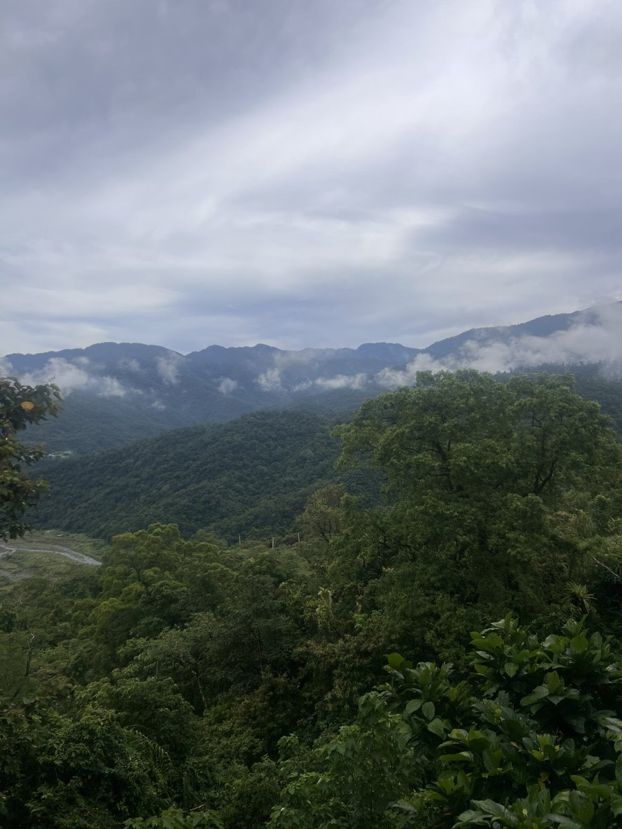 🌿📚 木の香りと本の匂いに包まれて、静かな午後。
こんな休日がずっと続けばいいな… #読書タイム #山の中の暮らし