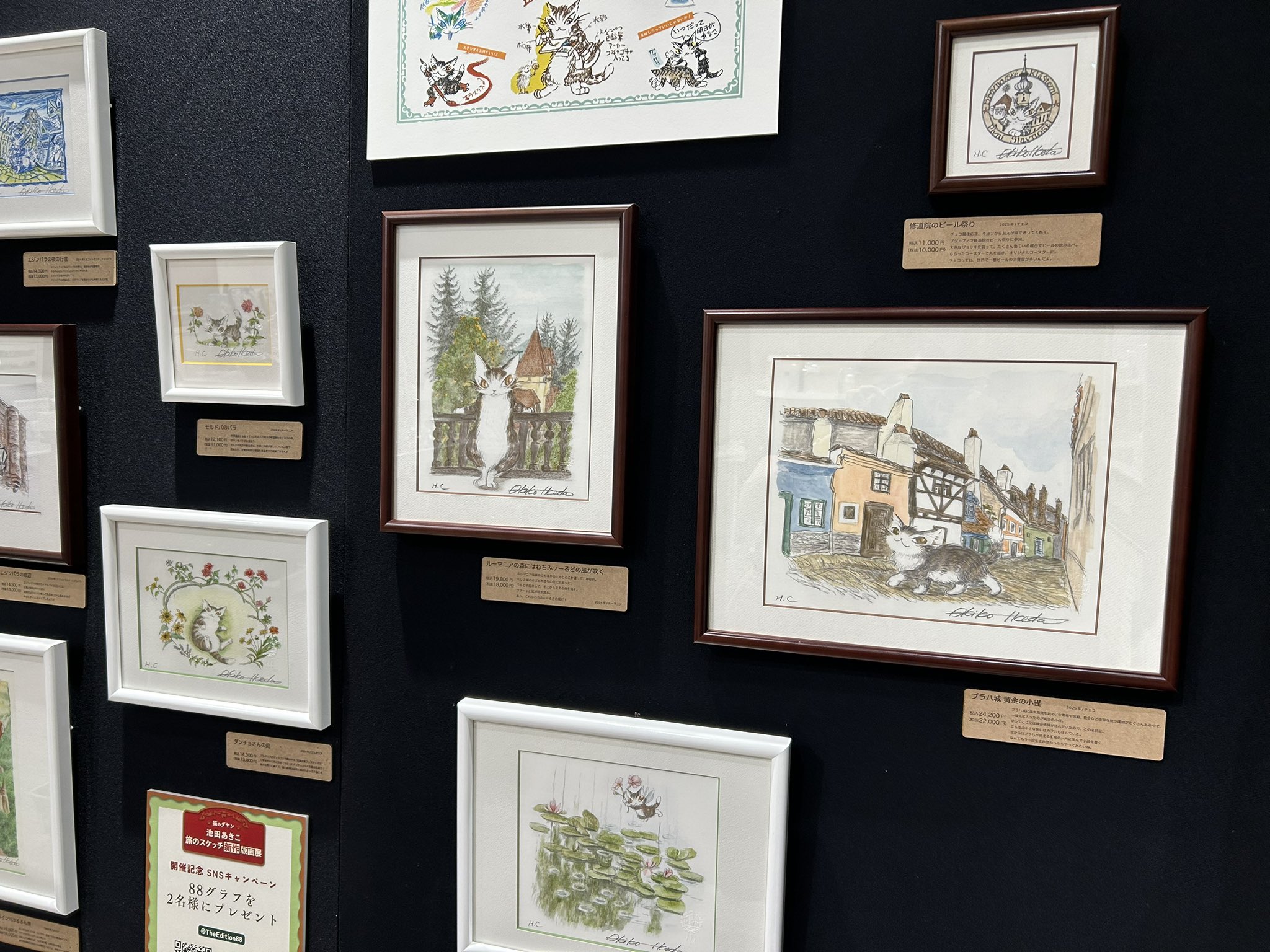 EDITION 88 (@TheEdition88) / X