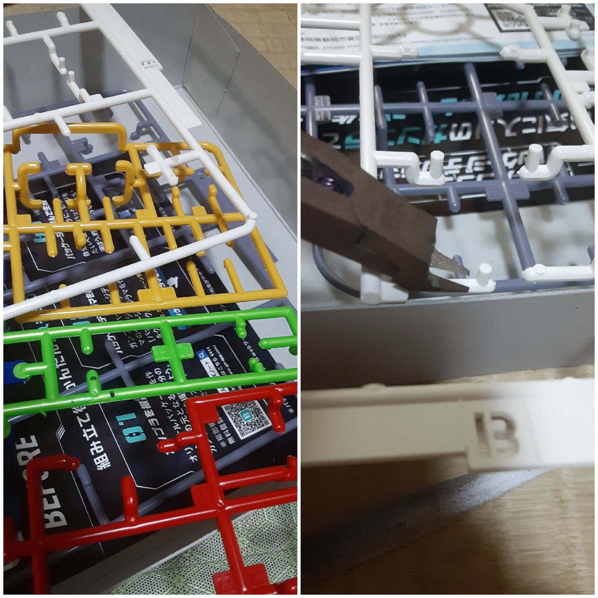 くまだい (@oqPpSH1ZhXLW4zA) / Posts and Replies / X