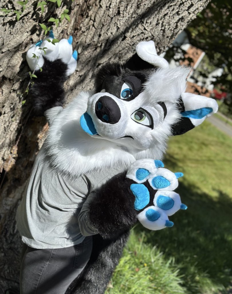 LoloFennec's tweet image. We all start somewhere! 

2012 &amp;gt;&amp;gt;&amp;gt; 2025