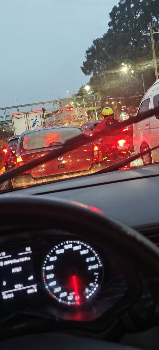 noredith vences tweet media