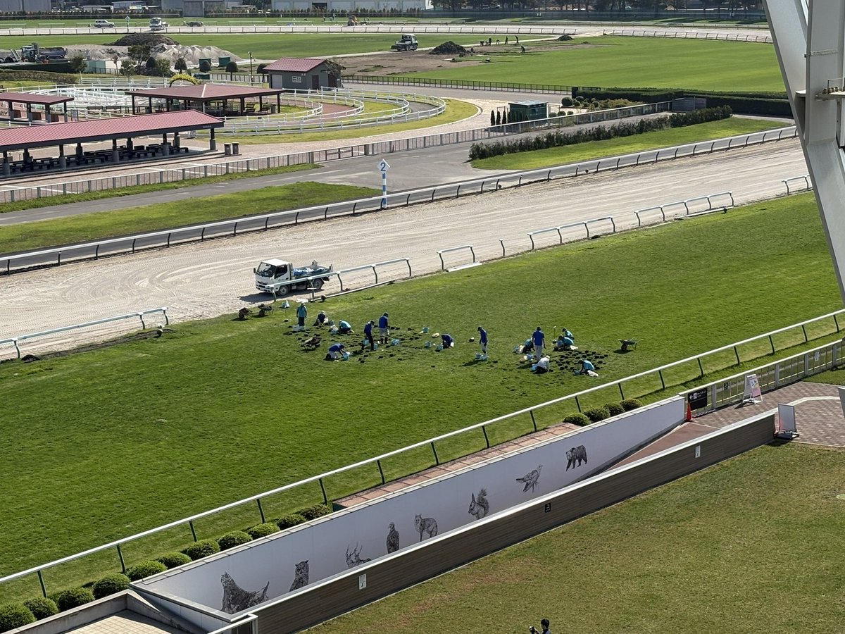 JRASapporoRC's tweet image. 芝コース作業大公開！その1

9/7（日）で競馬開催を終えた札幌競馬場🐴
実はすでに来年の開催に向けて、芝コースのメンテナンス作業が始まっています。

本日ご紹介するのは「カップ補修」。
芝コースの傷んだ部分を「コア抜き」と呼ばれる器具を用いて、くり抜いていきます🟢

#JRA
#札幌競馬場