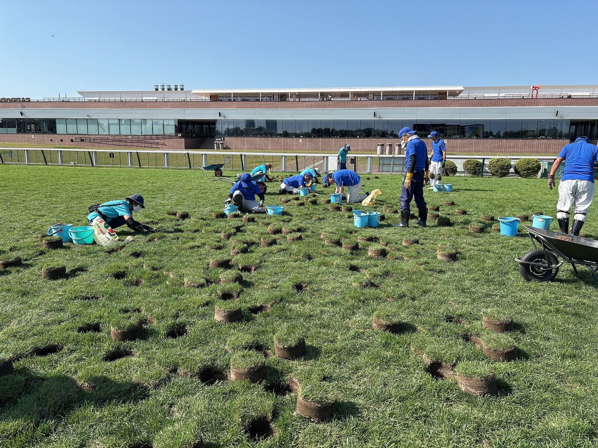 JRASapporoRC's tweet image. 芝コース作業大公開！その1

9/7（日）で競馬開催を終えた札幌競馬場🐴
実はすでに来年の開催に向けて、芝コースのメンテナンス作業が始まっています。

本日ご紹介するのは「カップ補修」。
芝コースの傷んだ部分を「コア抜き」と呼ばれる器具を用いて、くり抜いていきます🟢

#JRA
#札幌競馬場
