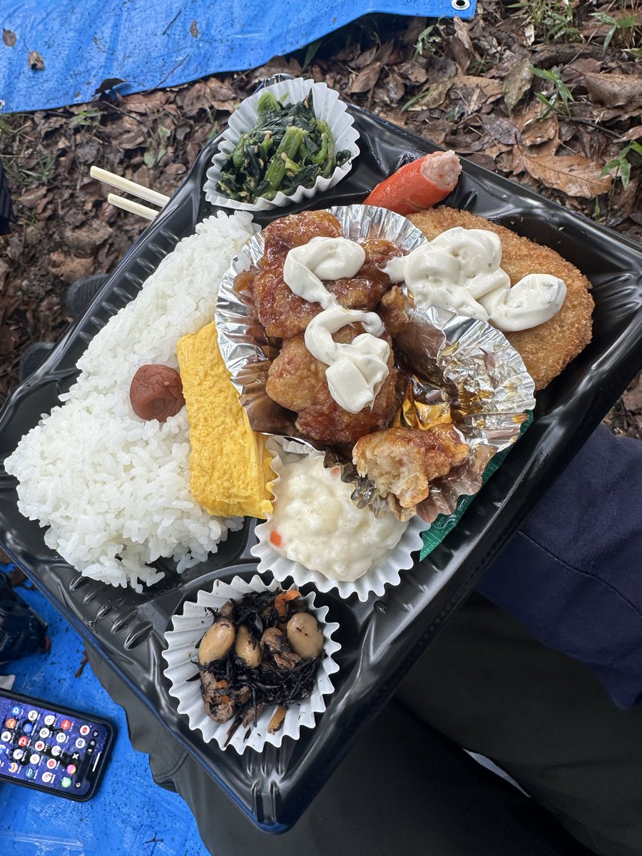 だんじりのお昼弁当
とても男が好きそうなのしか入ってない