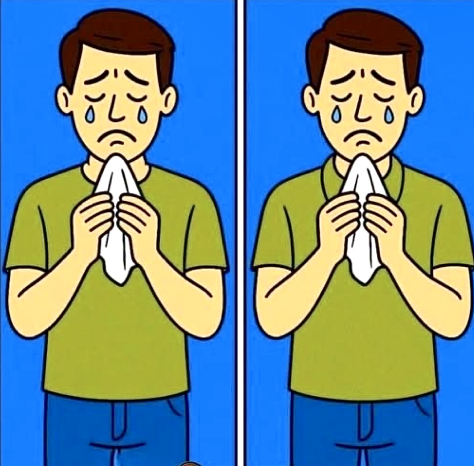 Denise 🇺🇸 tweet media