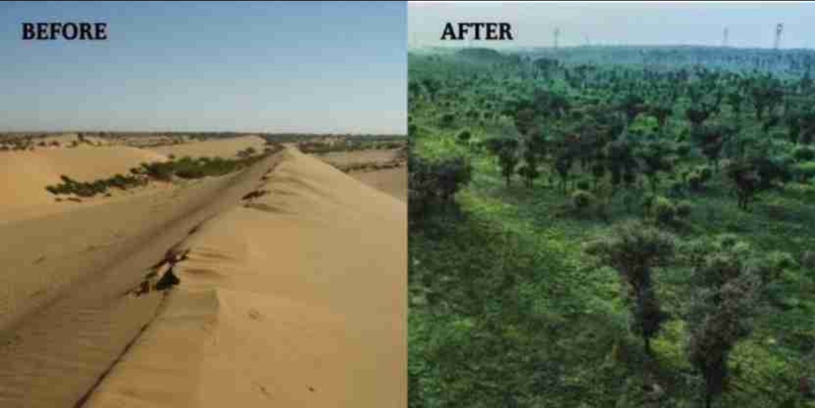 🚨 🇨🇳 China afforests an area the size of Denmark every 20 years.
