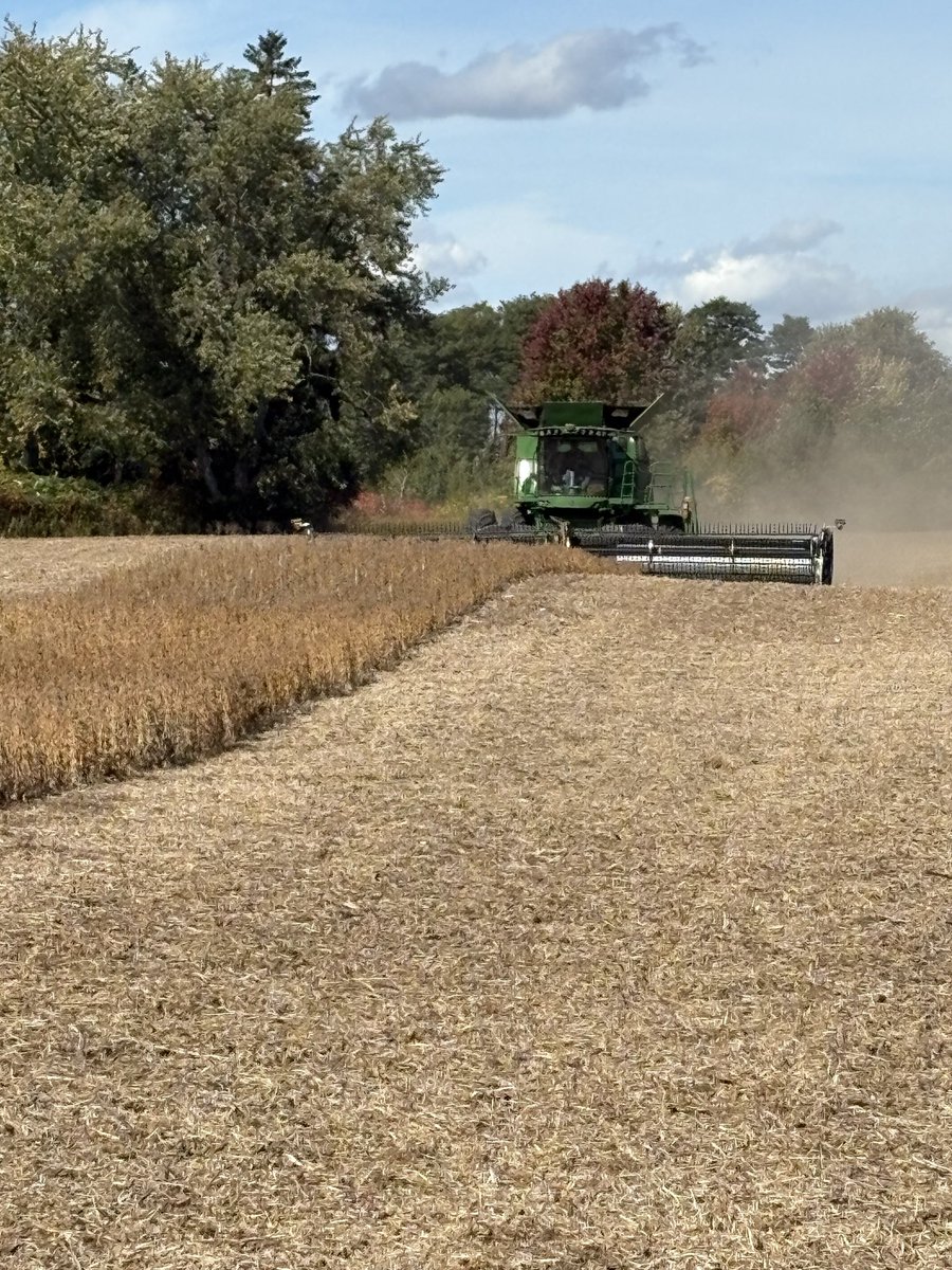 LogelMotive (@logel_chris) on Twitter photo As we enter this Thanksgiving weekend we are grateful for the blessing of today’s yield, even after such a dry growing season.
Mother Nature always keeps us humble.
#yieldheroeast
<a href="/PioneerSeedsCA/">Pioneer Seeds Canada</a>
#drought25 As we enter this Thanksgiving weekend we are grateful for the blessing of today’s yield, even after such a dry growing season.
Mother Nature always keeps us humble.
#yieldheroeast
<a href="/PioneerSeedsCA/">Pioneer Seeds Canada</a>
#drought25
