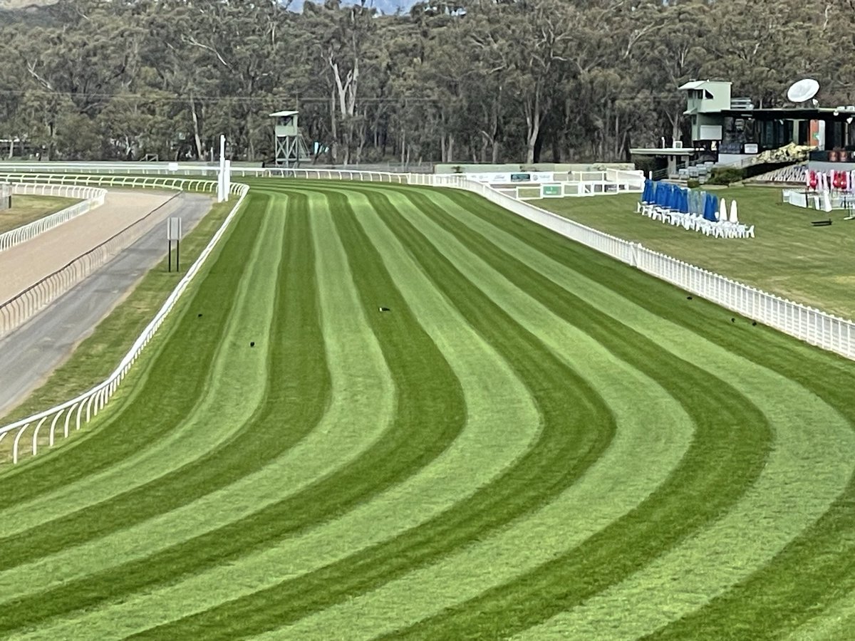 Brett Thompson tweet media