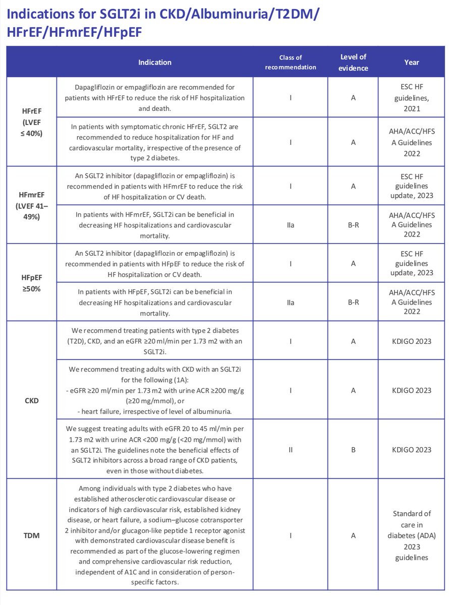 edgarvlermamd's tweet image. Which patients should be on SGLT2 inhibitors (SGLT2i) ⁉️
✅ Check out the SGLT2i Cold 🥶 Map from @ISNeducation @ISNkidneycare
#RKDSummit #Nephpearls
👉🏼 theisn.org/initiatives/to…