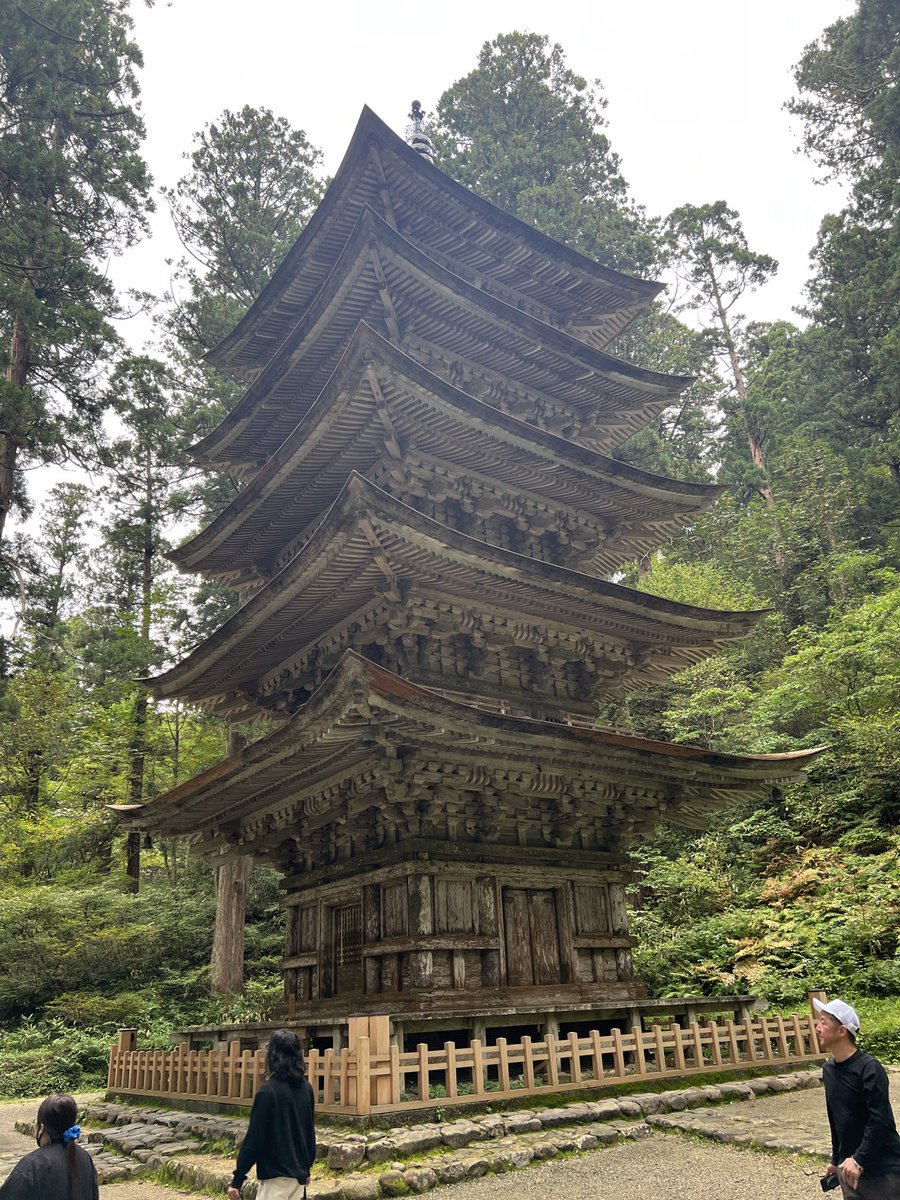 full＠桜 八重 (@fulhause) on Twitter photo 