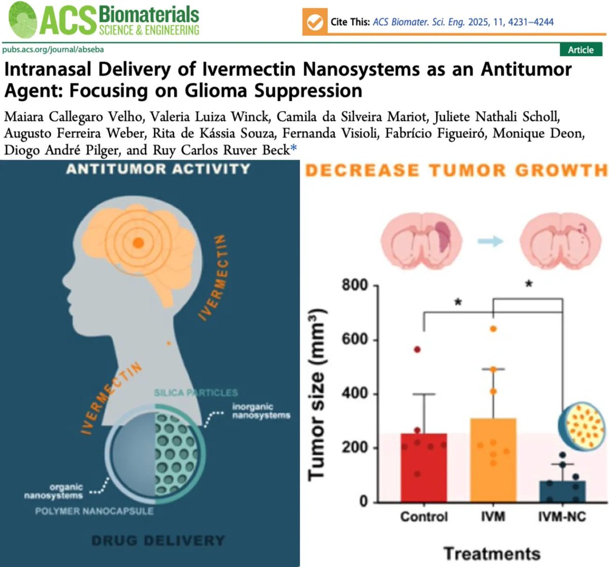 simon_troupe's tweet image. NEW STUDY: Intranasal Nano-Ivermectin Shrinks Brain Tumors by 70% Without Toxicity

Landmark preclinical study shows intranasal ivermectin nano-capsules safely shrink glioblastoma in animal models at doses lower than the approved human antiparasitic dose.

Tumor size reduced by…