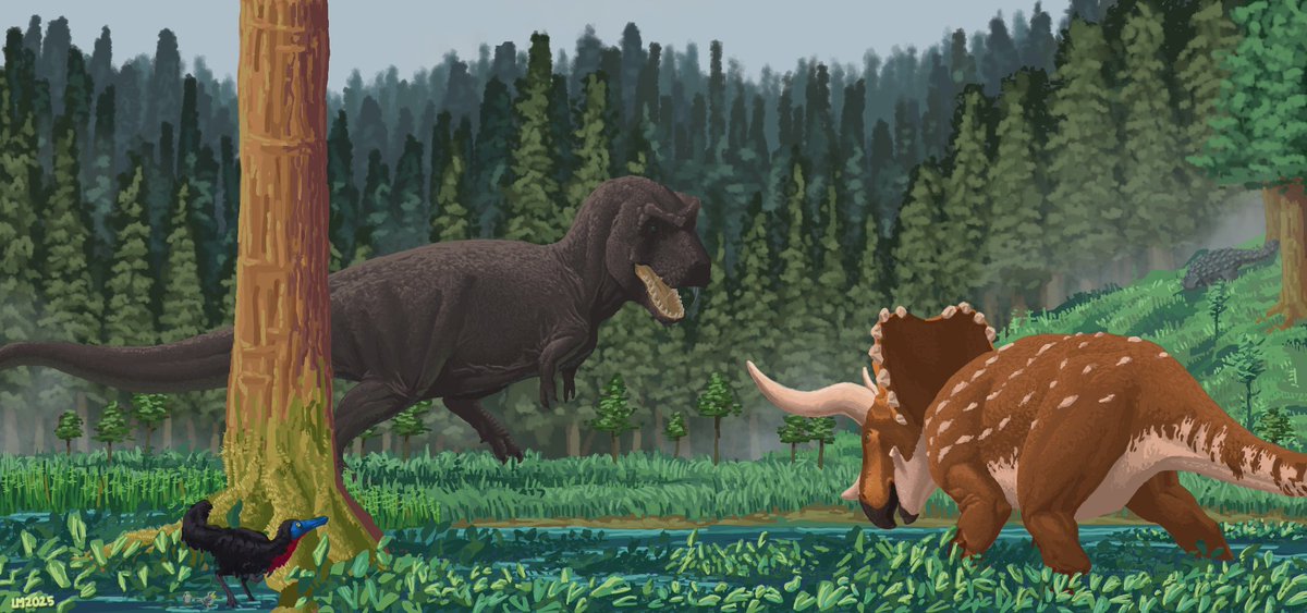 Teeth and Horns

In the silent floodplains of Cretaceous Hell Creek, the forest bore witness to a tense encounter between a Tyrannosaurus and a Triceratops.