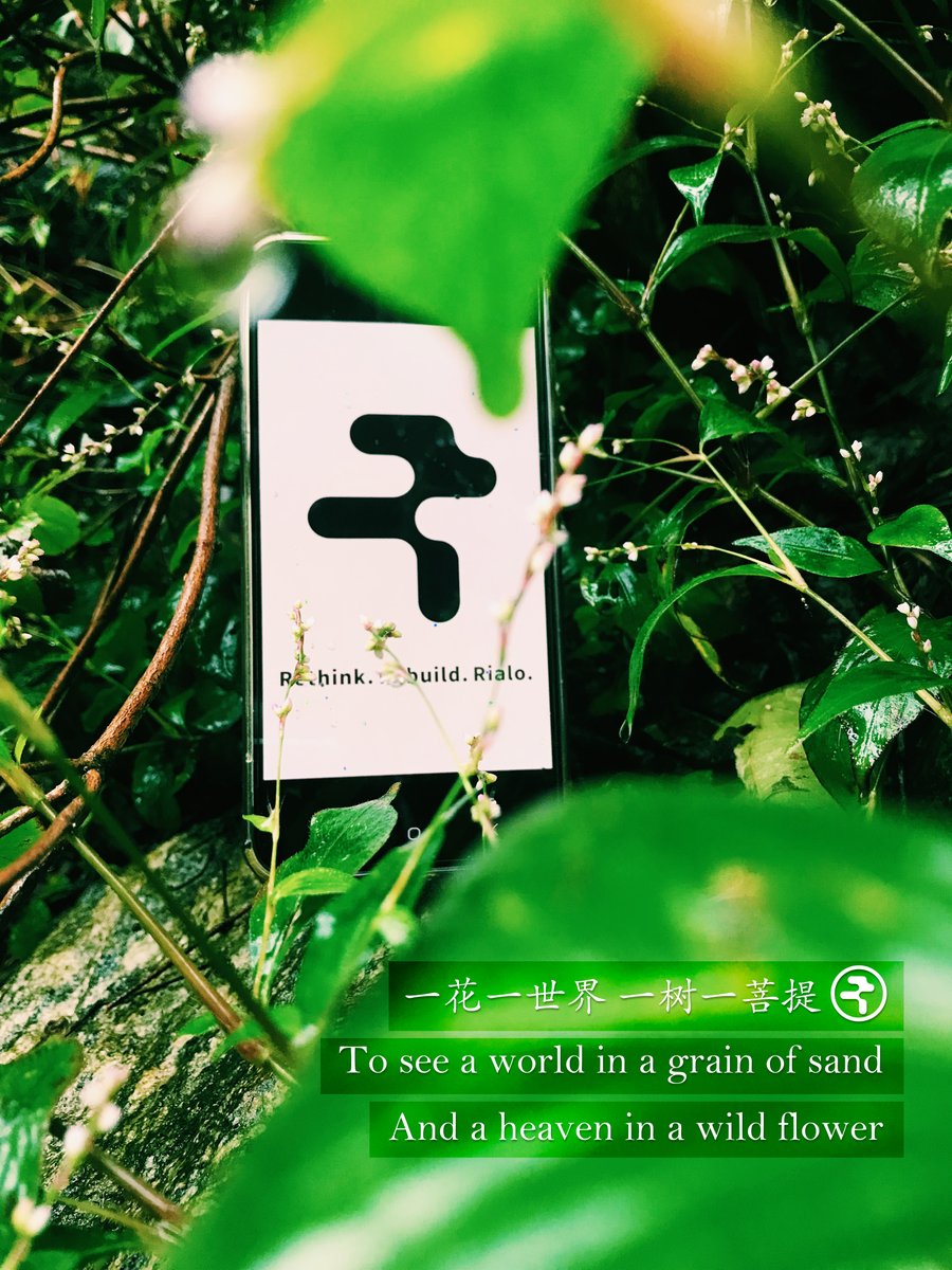 zhenghaokr's tweet photo. To see a world in a grain of sand, / And a heaven in a wild flower.
That's the Rialo vision.
We make complex Web3 simple. We embed Real-Time Data, Real-World Identity, and Effortless UX to build the Real World Chain.
Get real, on Rialo. @RialoHQ
#Rialo #RealWorldChain #Web3 https://t.co/TNcnMhgMOk