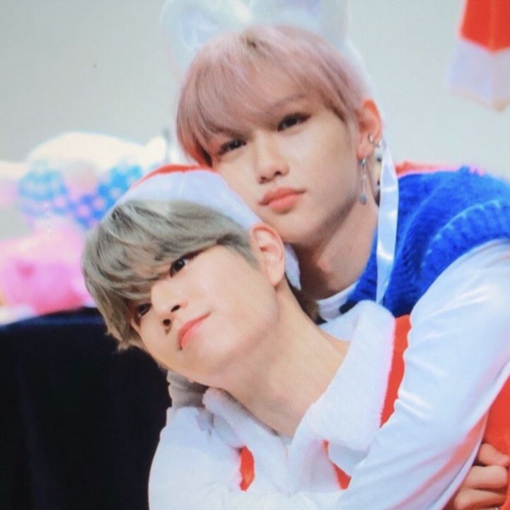 댕냥즈 코어  🐶🐱