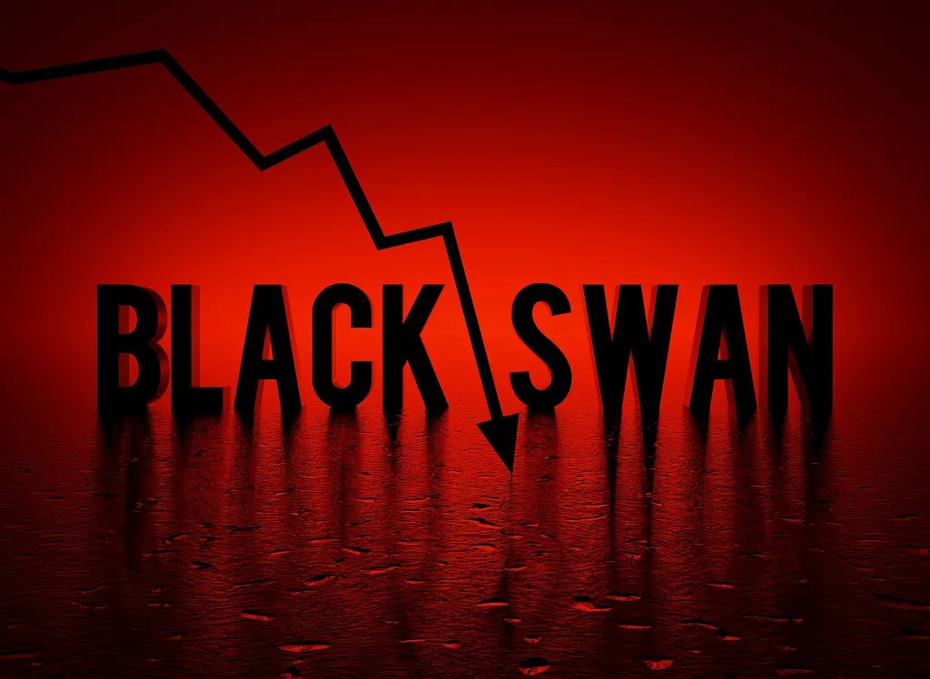 stupid283's tweet photo. Black swan🦢🦢🦢 https://t.co/C1CpFkEyii