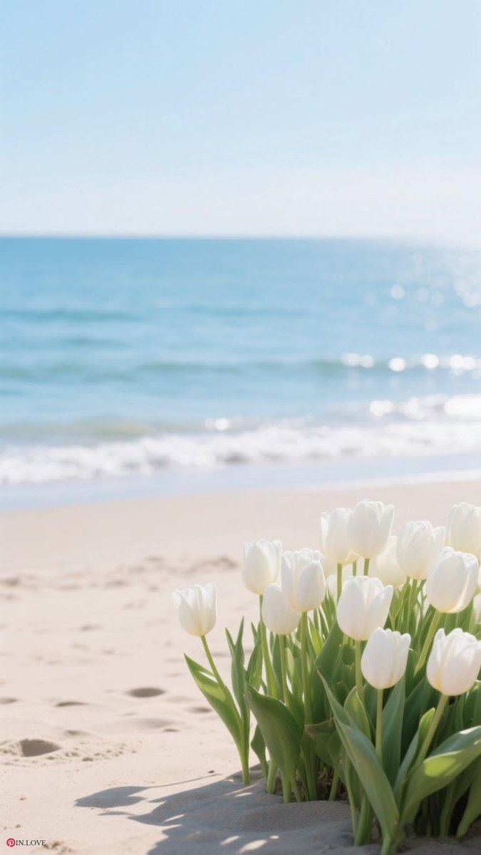 OceanBeauty💦 (@oceanvibes79) on Twitter photo 