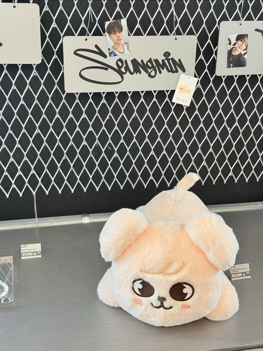 アイドル Stray Kids PuppyM PLUSH LYING Ver. jp.ktown4u.com : Stray Kids - [dominATE : celebrATE] PuppyM PLUSH