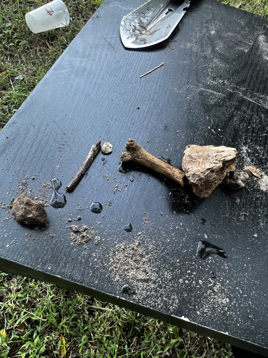 BIG BOSS tweet media