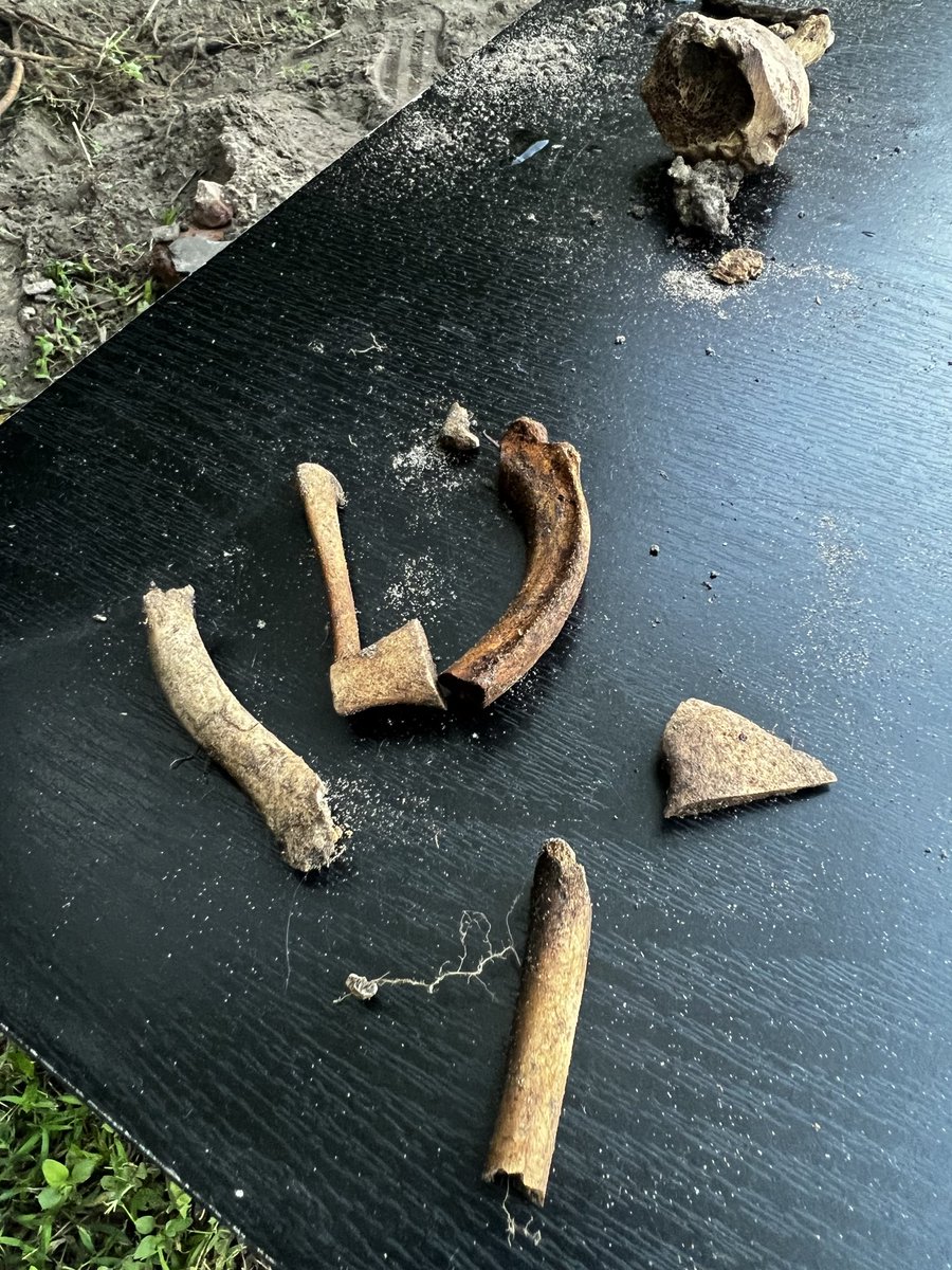 BIG BOSS tweet media