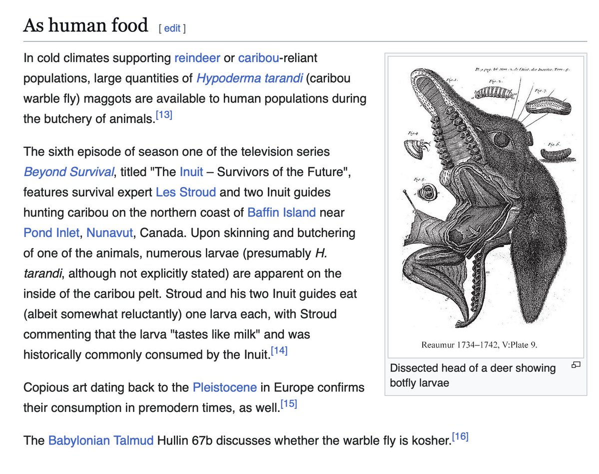 You ever find a trivia gem on Wikipedia? Here's today's find, and the source. For more context, I saw my first botfly recently. 🪰
en.wikipedia.org/wiki/Botfly
sefaria.org/Chullin.67b.11…